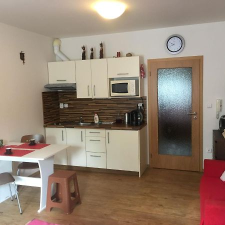 شقة Apartman Na Pohodu 25 ليبنو ناد فلتافو المظهر الخارجي الصورة